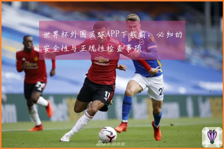 世界杯外围买球APP下载前，必知的安全性与正规性检查事项