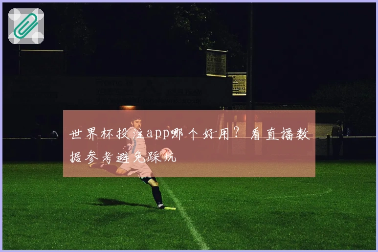 世界杯投注app哪个好用？看直播数据参考避免踩坑