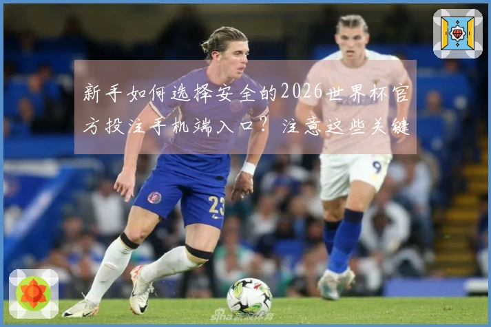 新手如何选择安全的2026世界杯官方投注手机端入口？注意这些关键步骤！